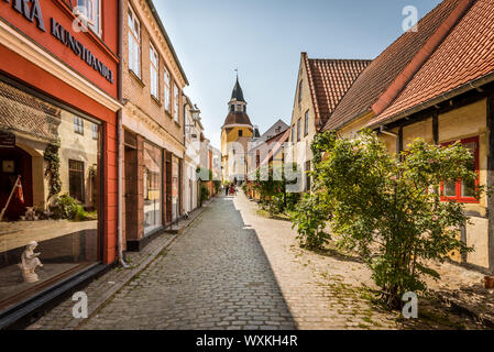 Eine Gasse mit roten Rosen und Reflexionen in den Geschäften Windows, führt zu der Kirche in Faaborg, Dänemark, 12. Juli 2019 Stockfoto