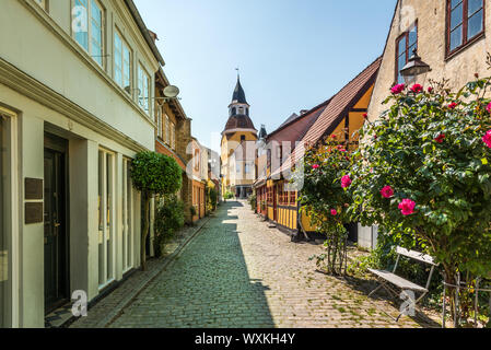 Eine Gasse mit Kopfsteinpflaster und rote Rosen, die bis zur Kirche in Faaborg, Dänemark, 12. Juli 2019 Stockfoto