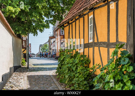 Eine gelbe Idyllisches Fachwerkhaus mit grünen Stockrosen, in einer schmalen Gasse in der Altstadt von Faaborg, Dänemark, 12. Juli 2019 Stockfoto