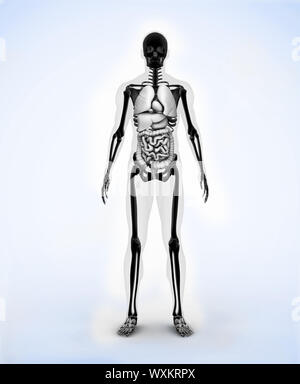 Digitalen Skelett Schwarzkörper stehend Stockfoto