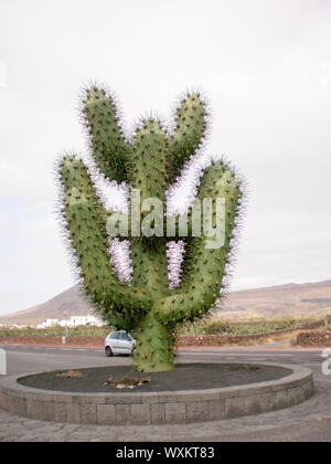 Wundervolle Kaktus in der Nähe der Eingang in der Cueva de los Verdes. Juni 30, 2011. Costa Teguise Lanzarote Kanarische Inseln Spanien Europa. Reisen Tourismus Straße p Stockfoto