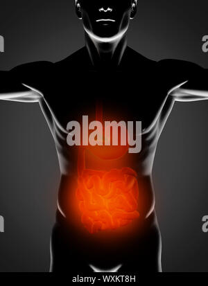 Schwarzer Mann mit roten Magen und Dünndarm auf schwarzem Hintergrund hervorgehoben Stockfoto