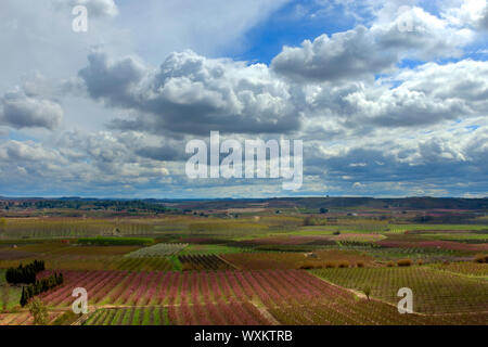 Landschaft mit Feldern von Peach tree Reihen, und Pear Tree Zeilen. Bäume mit Blüten, in eine trübe und glänzenden Himmel reichlich Wolken. Aitona, Lleida Stockfoto