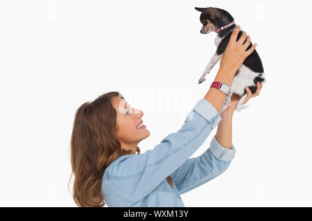Hübsche Frau hob ihr Chihuahua auf weißem Hintergrund Stockfoto