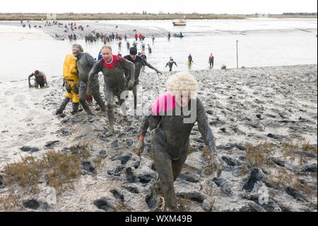 Jährliche Maldon Schlamm Rasse, 250 Konkurrenten, viele tragen Fancy Dress, trotzten der Kälte zu lief, kroch und stieß über den dicken schwarzen Schlamm des Riv Stockfoto