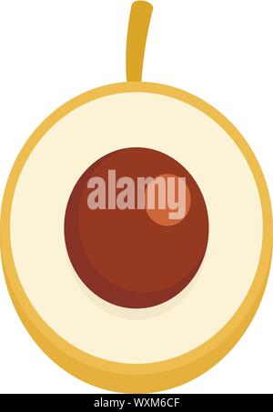 Longan Symbol. Flache Abbildung: longan Vektor Symbol für Web Design Stock Vektor