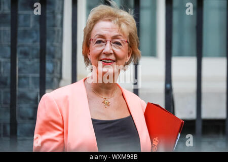Westminster, London, Großbritannien. 17 Sep, 2019. Andrea Leadsom, Staatssekretär für Wirtschaft, Energie und industrielle Strategie. Minister der Regierung die Ausfahrt Nr. 10 nach der Kabinettssitzung in der Downing Street Credit: Imageplotter/Alamy leben Nachrichten Stockfoto