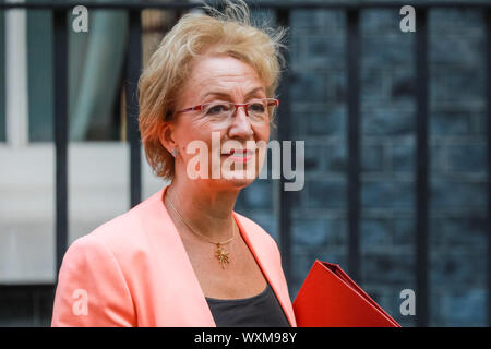 Westminster, London, Großbritannien. 17 Sep, 2019. Andrea Leadsom, Staatssekretär für Wirtschaft, Energie und industrielle Strategie. Minister der Regierung die Ausfahrt Nr. 10 nach der Kabinettssitzung in der Downing Street Credit: Imageplotter/Alamy leben Nachrichten Stockfoto