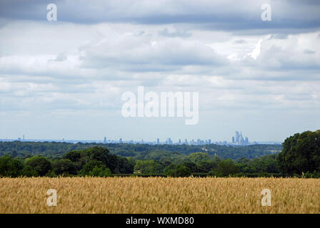 London von der North Downs in Reigate, Surrey. Skyline von London mit Feldern. London ist von einem grünen Gürtel von Wäldern und Feldern umgeben. Blick auf London. Stockfoto