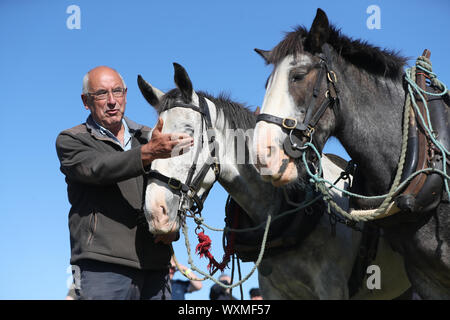 Edward Allen von der Glen von imaal in Co Wicklow an den nationalen Meisterschaften im Pflügen Carlow. Stockfoto