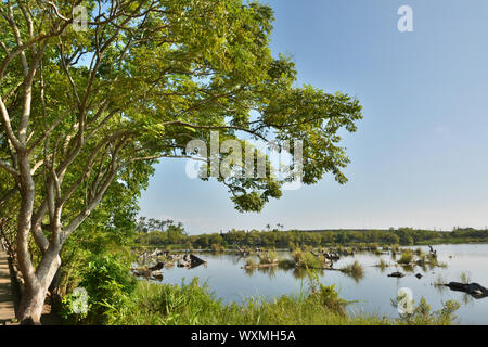 Landschaft der alten Log-Teich, beschossen Luodong Forstwirtschaft-Kultur-Garten, Yilan County, Taiwan. Stockfoto