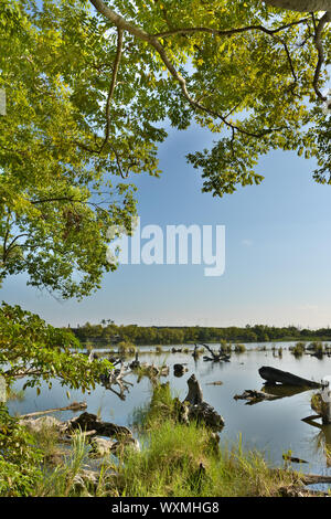 Landschaft der alten Log-Teich, beschossen Luodong Forstwirtschaft-Kultur-Garten, Yilan County, Taiwan. Stockfoto