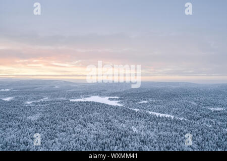 Luftaufnahme von taigawald in Pyhä-Luosto-Nationalpark bei Sonnenuntergang im Winter. Stockfoto