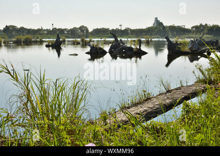 Log-Teich, beschossen Luodong Forstwirtschaft-Kultur-Garten, Yilan county Stockfoto