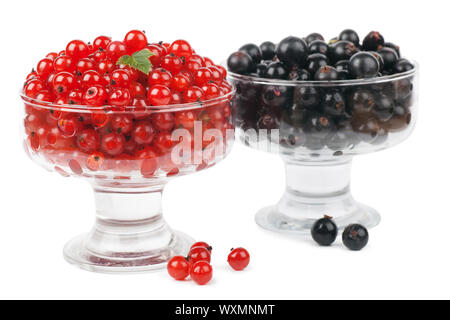 Rote und schwarze Johannisbeeren mit grünen Blättern auf weißem Hintergrund Stockfoto