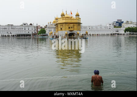 22.07.2011, Amritsar, Punjab, Indien - ein Sikh devotee badet in der Amrit Sarover (heilige Pool) der den Goldenen Tempel, dem heiligsten Ort der Anbetung. Stockfoto