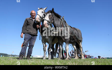 Edward Allen von der Glen von imaal in Co Wicklow mit Pferden Fred und Roxy auf nationaler Pflügen Meisterschaften in Carlow, Irland. Stockfoto