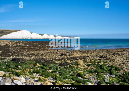 Der Strand bei Ebbe an Cuckmere Haven, in der Nähe von Eastbourne, East Sussex, UK, auf der Suche nach Osten in Richtung Sieben Schwestern Stockfoto