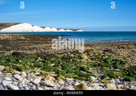 Der Strand bei Ebbe in der Nähe von Cuckmere Haven, East Sussex, an der Südküste von England, auf der Suche nach Osten in Richtung Sieben Schwestern Kreidefelsen Stockfoto