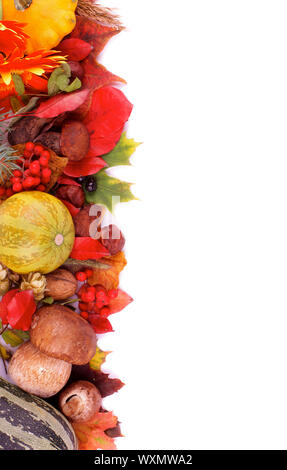 Rahmen der verschiedenen Herbst Blätter, Gemüse, Beeren, Pilze und Nüsse auf weißem Hintergrund. Ansicht von oben Stockfoto