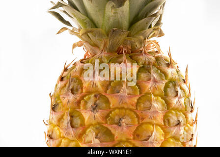 Ein Detail einer frischen Ananas Obst Stockfoto