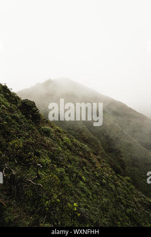 Moody vibes im schönen grünen Berge der Moanalua Tal, Oahu, Hawaii. Auf der Treppe zum Himmel (Haiku Treppen) Wanderung getroffen. Stockfoto