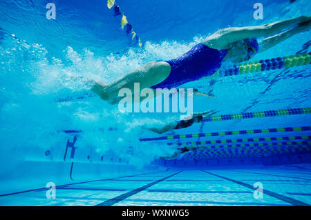 Schwimmer im Pool Racing Stockfoto