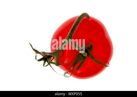 Reife rote Tomaten mit grünen Stiel auf weißem Hintergrund Stockfoto