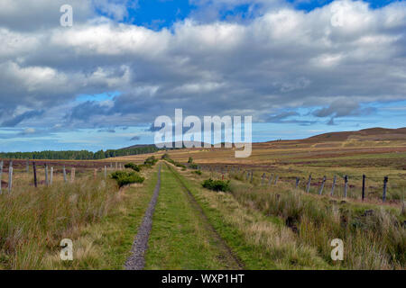 DAVA WEG GEHEN ODER TRAIL DAVA in Grantown on Spey Moray in Schottland HEIDEKRAUT AUF BEIDEN SEITEN DER SPUR Stockfoto