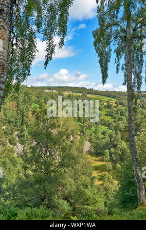 DAVA WEG GEHEN ODER TRAIL DAVA in Grantown on Spey Moray in Schottland auf der Suche ÜBER DIE HUNTLY HÖHLE BEREICH Stockfoto