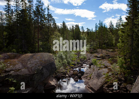 Eine typische norwegische Tal mit einem Fluß, Berge, Wald. Fluss hinter den Bergen in Norwegen. Stockfoto