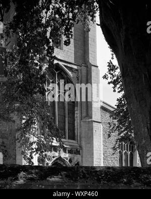 Alle Heiligen Pfarrkirche St Ives Cambridgeshire England Stockfoto