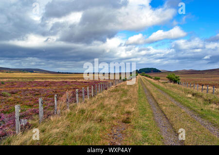 DAVA WEG GEHEN ODER TRAIL DAVA in Grantown on Spey Moray in Schottland der langen geraden Weg über das Heidekraut Moor Stockfoto