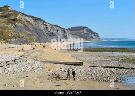 Charmouth, Dorset, Großbritannien. 17 Sep, 2019. UK Wetter. Besucher am Strand von Charmouth, Dorset Genießen der warme Herbst Sonnenschein und blauem Himmel. Foto: Graham Jagd-/Alamy leben Nachrichten Stockfoto