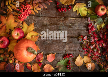 Herbst Hintergrund mit Rahmen von Kürbis, Äpfel, Rowan und Weißdorn-Beeren, Äste und Blätter auf die natürlichen Baumrinde Hintergrund. Ansicht von oben, flach, Stockfoto