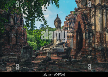 Prang und Buddha, Wat Mahathat, Ayutthaya, Thailand Stockfoto