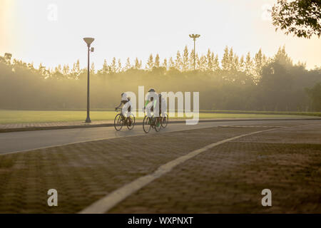 Bangkok, Thailand - 15 Sep 2019: Drei Männer reiten auf dem Fahrrad in Suan Luang Rama IX öffentlichen Park am Morgen. Stockfoto