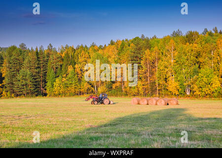 Ländliche Landschaft gemähten Wiese vor dem Hintergrund der Wald und die Berge am Horizont. Stockfoto