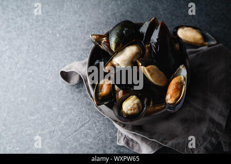 Frische Muscheln in Schwarz Keramik Schüssel auf dunklen konkreten Hintergrund. Ansicht von oben, kopieren Raum Stockfoto