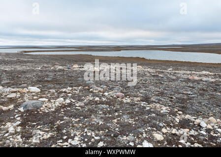 Tundra Landschaft auf Victoria Island, Kanada Stockfoto