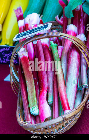 Frische Rhabarber in Korb in ein Gemüsemarkt Stockfoto