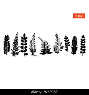 Set schwarze Silhouetten von wilden Blumen und Blätter-Vektor-illustration Stock Vektor