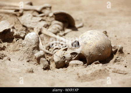Eine frühe Jungsteinzeit Skelett Beleived von mehr als 7 600 Jahre werden in der Slatina Bezirk Sofia, Bulgarien gefunden wird. Stockfoto