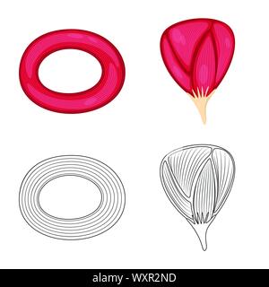 Isoliertes Objekt der Faser und muskulös Logo. Sammlung von Faser- und Körper vektor Illustration. Stock Vektor