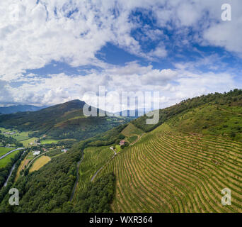 Irrouleguy Weinberge im Baskenland, Frankreich Stockfoto