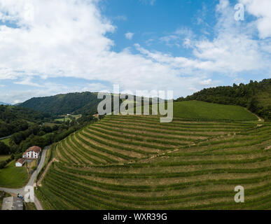 Irrouleguy Weinberge im Baskenland, Frankreich Stockfoto