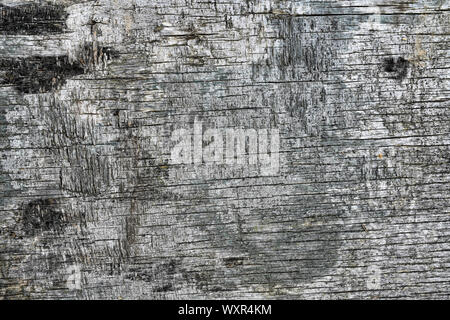 Eine schwarze Rinde eines Baumes Textur. Alte vintage board Textur. Stockfoto
