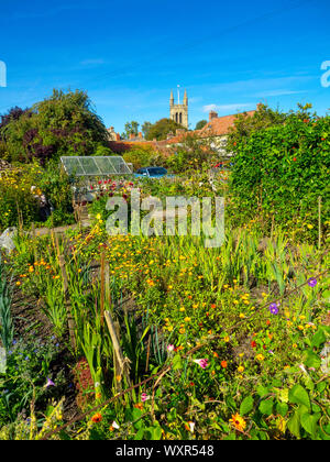 Die Zuteilungen von einem langen Fußweg in Helmsley Stadtzentrum Blüte im frühen Herbst Stockfoto