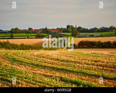 Ein Blick über die ländliche Landschaft Landschaft in Richtung Kelby, Lincolnshire, durch das warme Licht der Abendsonne beleuchtet Stockfoto