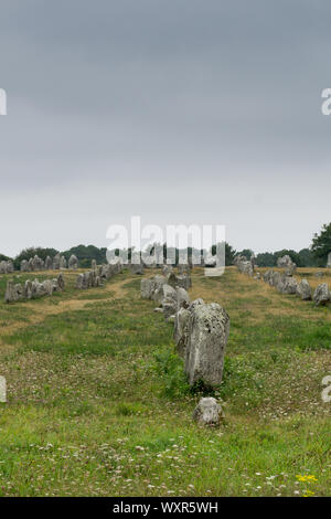 Vertikale Ansicht Ansicht von prähistorischen monolith Stein Ausrichtungen in der Bretagne bei Carnac Stockfoto